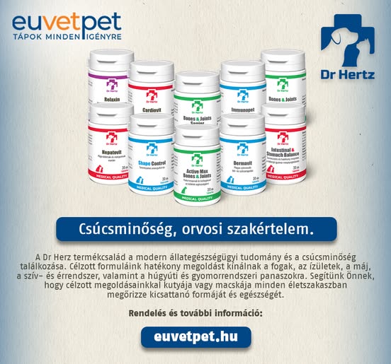 Homevet Állatorvosi rendelő