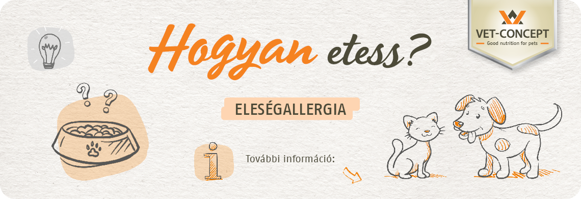Hogyan etess?